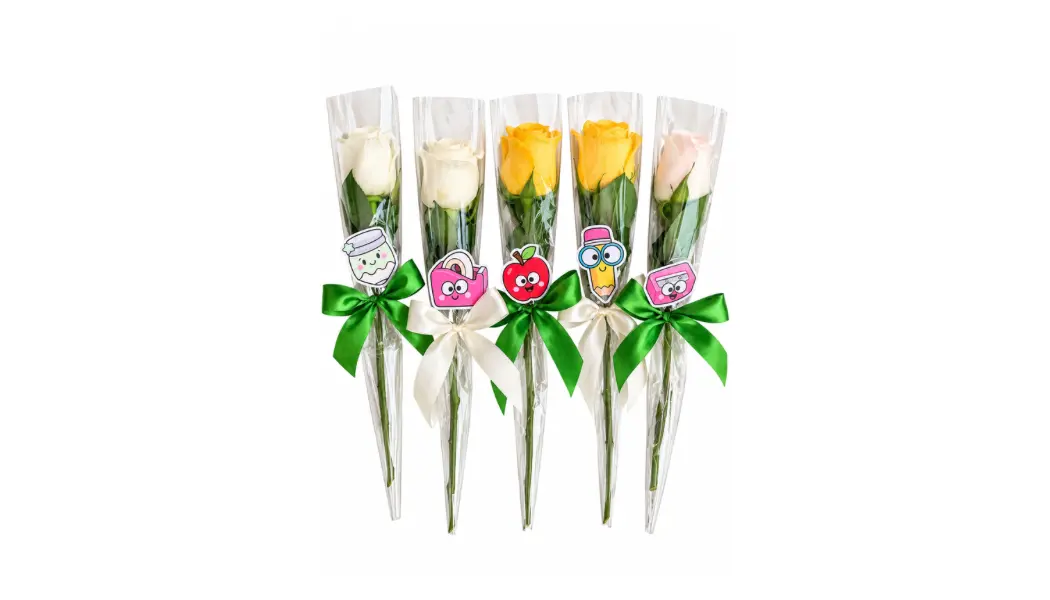 Teachers' Day Single Rose